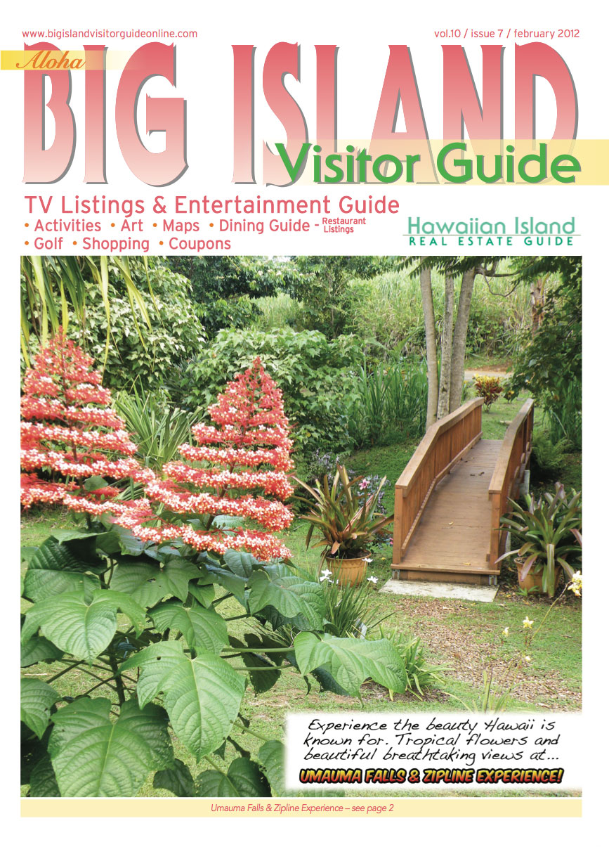 Big Island Visitor Guide